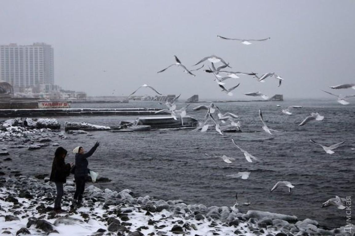 Люди начали замерзать. Чайки примерзли в море.