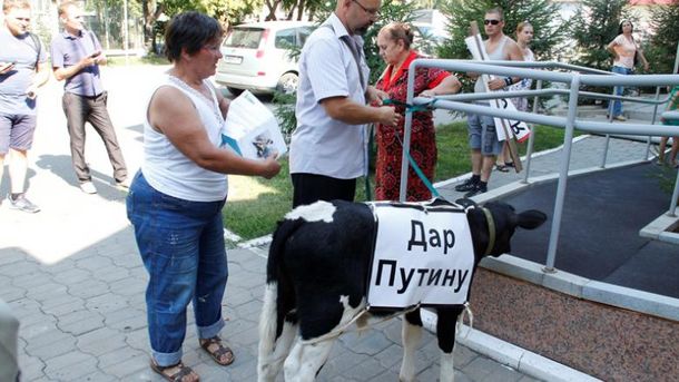 В приемной Владимира Путина фермеры оставили теленка