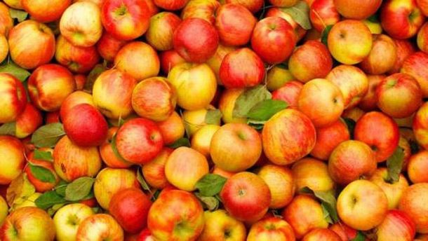 Импорт белорусских яблок и грибов в 5 раз превысил урожай