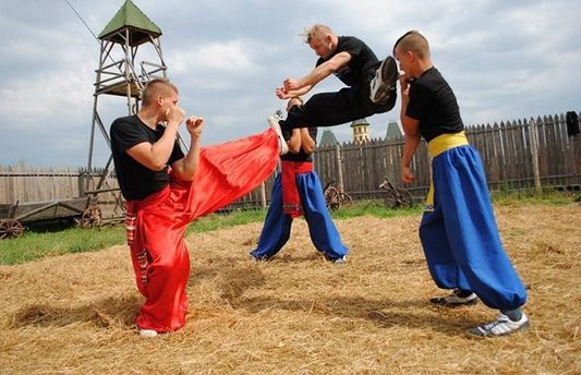 Народные избранники приняли закон о национальных видах спорта