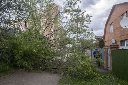 МЗС: Від урагану в Підмосков'ї загинув українець
