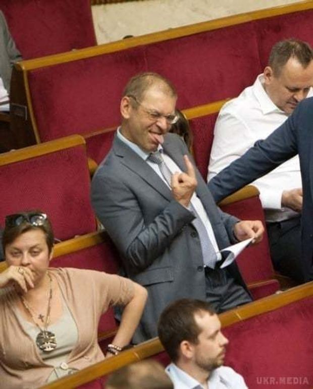 Закону о спецконфискации активов Януковича противодействуют Оппоблок, "Батькивщина" и еврооптимисты, - Пашинский - Цензор.НЕТ 6755