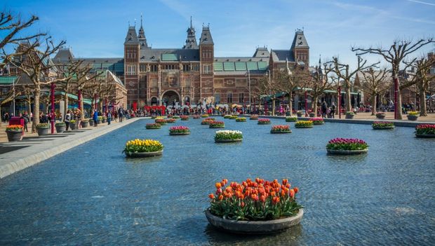 Тюльпани, квіти, Нідерланди
