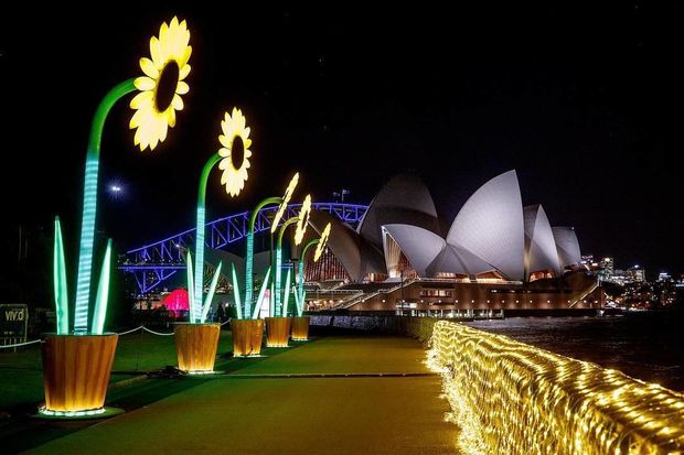 Фестиваль света в Сиднее: невероятные фото 12