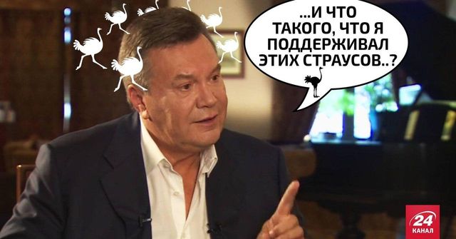 Украинские прокуроры хотят допросить Януковича в Межигорье возле страусов - Цензор.НЕТ 9509